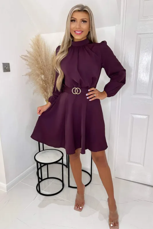 Plum High Neck Long Puff Sleeve Belted Skater Dress sold by AX Paris