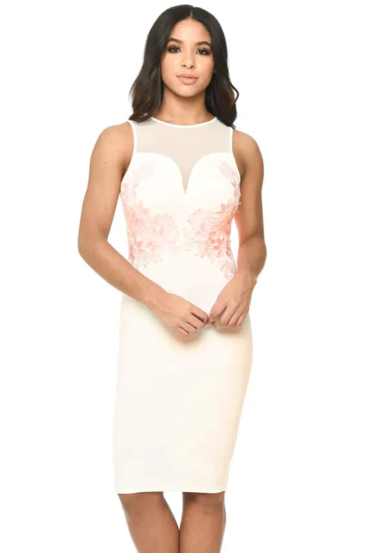 Cream Sheer Top Bodycon With Lace Detail sold by AX Paris
