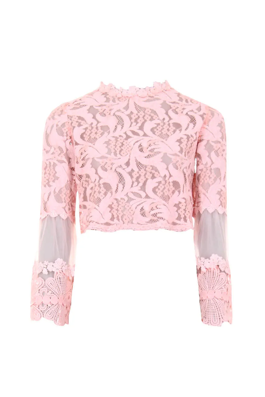 Pink Sheer Lace Long Sleeve Top sold by AX Paris product image thumbnail 4