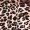 Animal Print Wrap Dress sold by AX Paris product image thumbnail 5