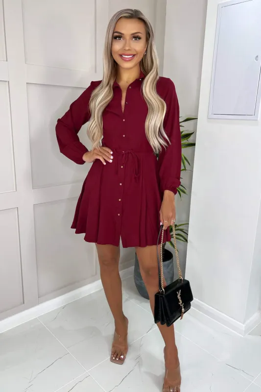 Wine Long Sleeve Belted Pleated Skater Dress sold by AX Paris