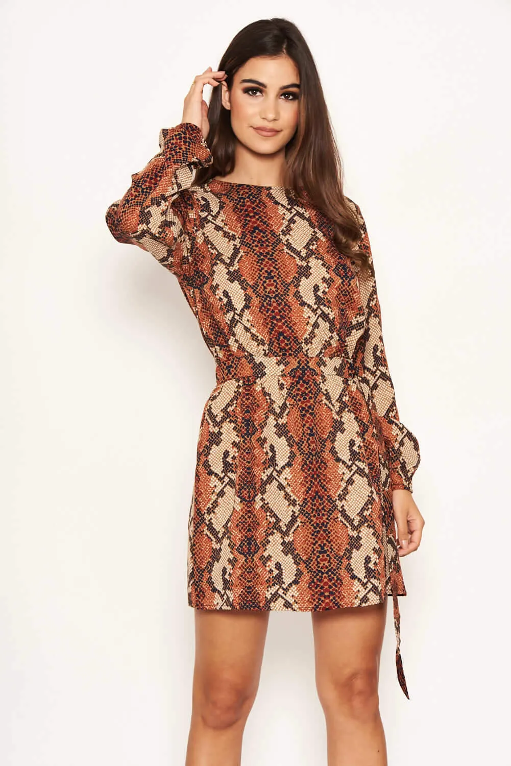 Snake Print Shift Dress sold by AX Paris product image thumbnail 5