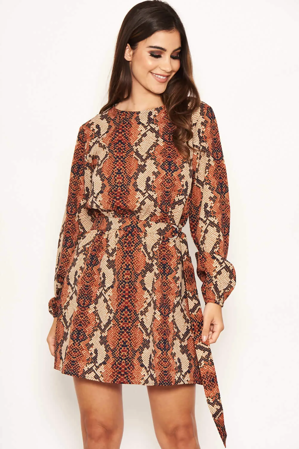 Snake Print Shift Dress sold by AX Paris product image thumbnail 2