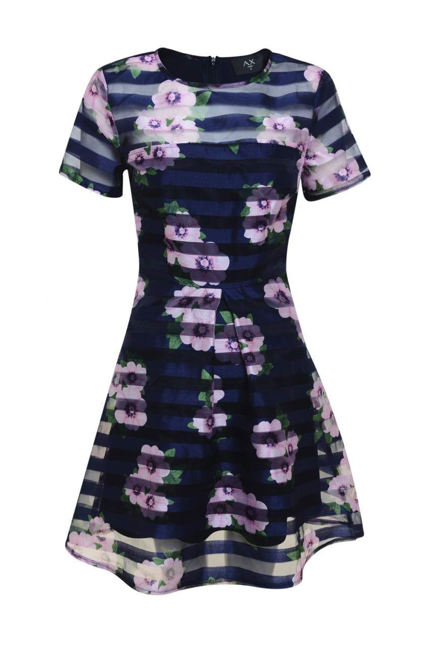 Floral Striped Skater Dress sold by AX Paris product image thumbnail 4
