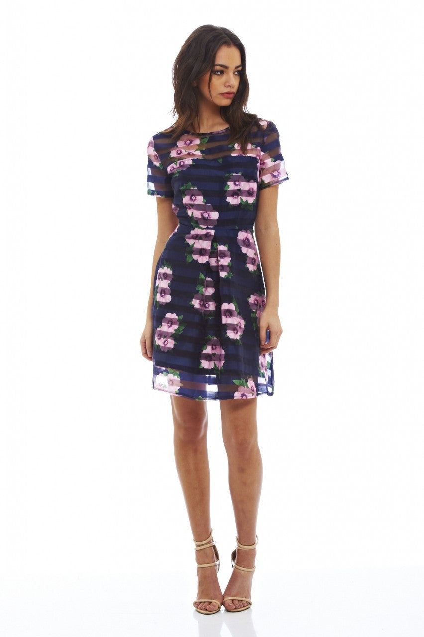 Floral Striped Skater Dress sold by AX Paris product image thumbnail 2