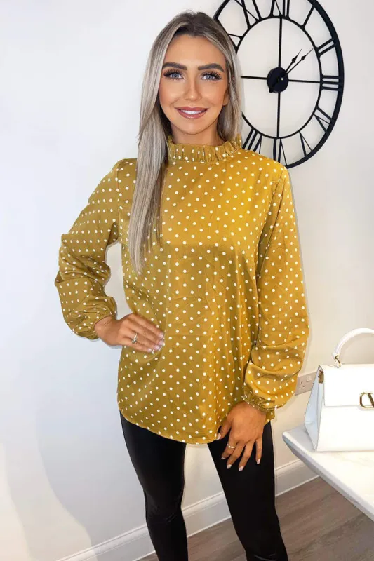 Mustard Polka Dot High Neck Long Sleeve Top sold by AX Paris