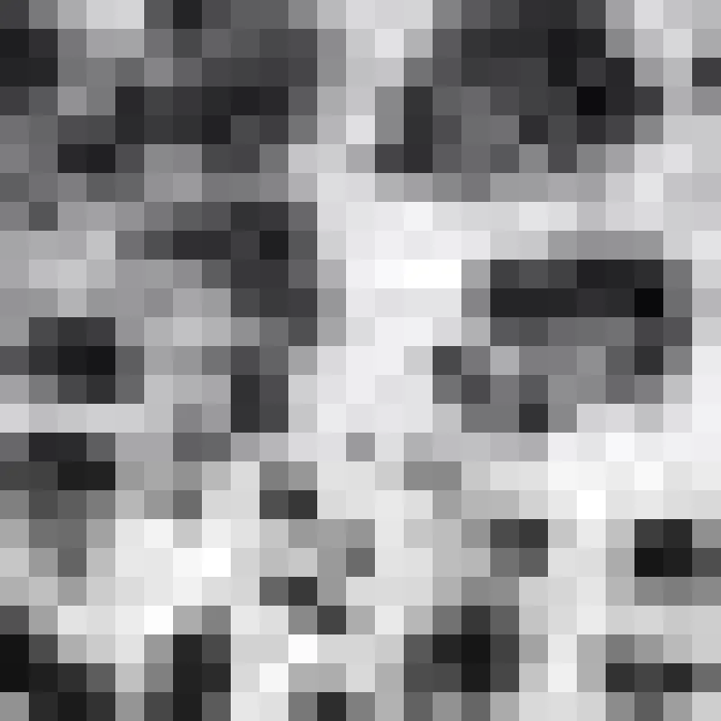 Animal Purse sold by AX Paris