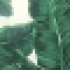 Green Leaf Print Midi Dress With Off The Shoulder Strappy Detail sold by AX Paris