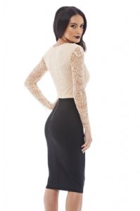 2 in 1 Long Sleeved Lace Dress sold by AX Paris