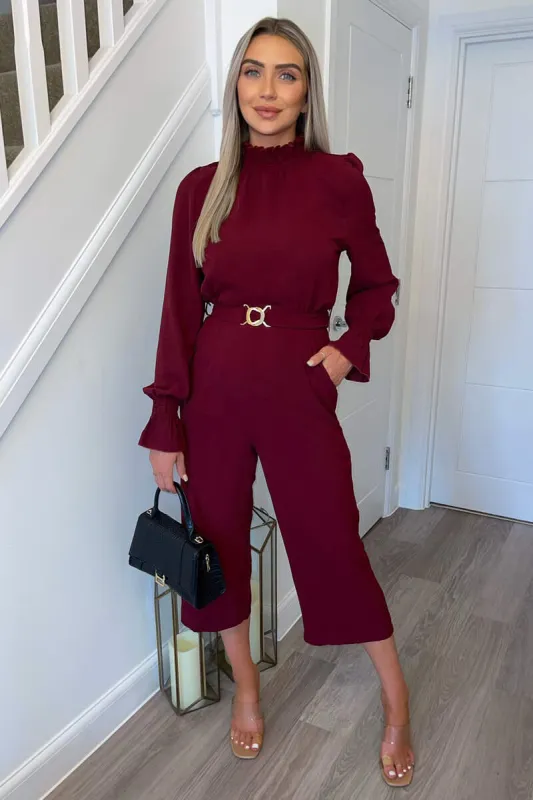 Wine High Neck Long Sleeve Belted Jumpsuit sold by AX Paris
