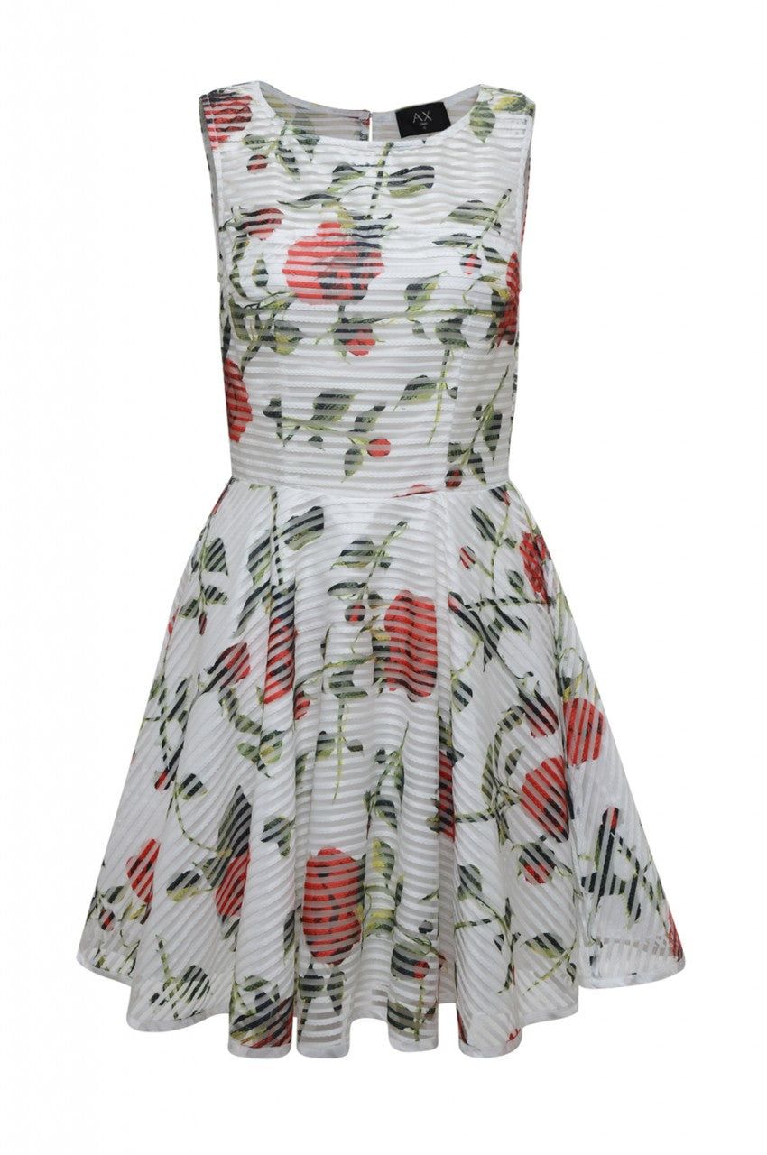Rose Printed Skater Dress sold by AX Paris product image thumbnail 5