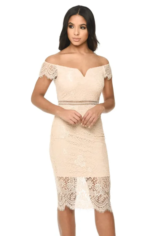 Pink Lace Bodycon Dress With Notch Front sold by AX Paris