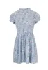 Blue Floral Frill Detail Mini Dress sold by AX Paris