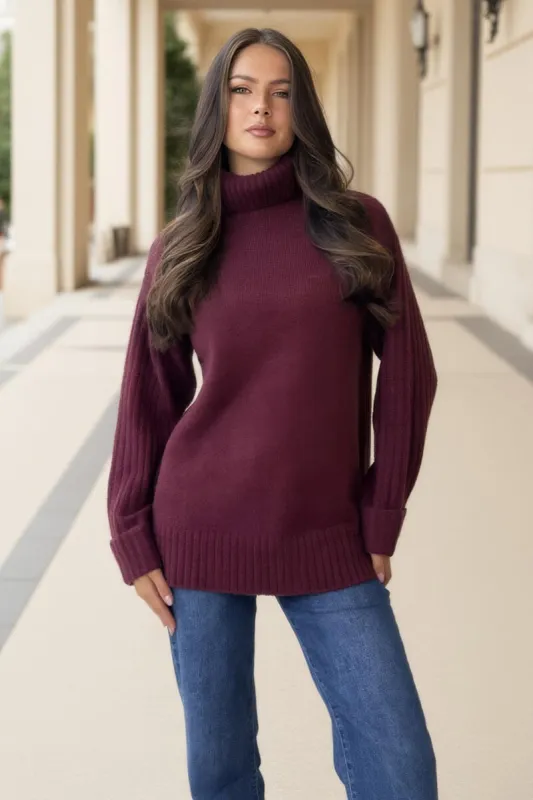 Burgundy Roll Neck Rib Detail Jumper sold by AX Paris