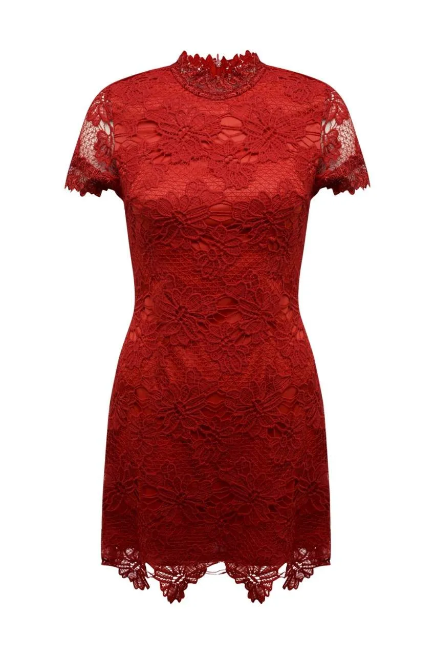 Red High Neck Lace Dress sold by AX Paris product image thumbnail 5