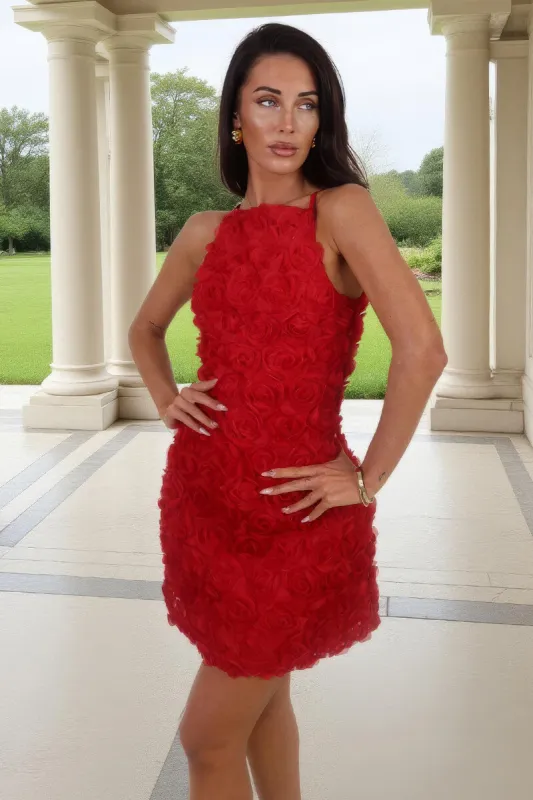 Red Rose-Applique Racer Neck Slip Mini Dress sold by AX Paris