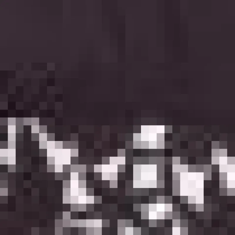 Black 2-In-1 Mini Dress with Embroidered Detail sold by AX Paris