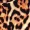 Camel Animal Print Cowl Neck Gathered Midi Dress sold by AX Paris product image thumbnail 5