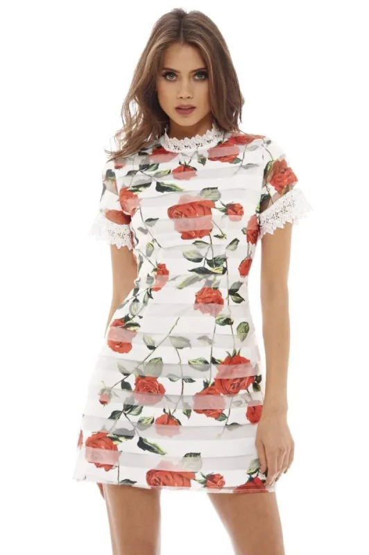 Rose Printed Mini Dress sold by AX Paris