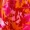 Pink And Orange Floral One Shoulder Frill Mini Dress sold by AX Paris product image thumbnail 5