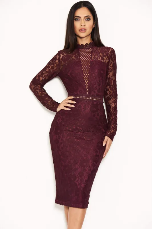 Plum High Neck Lace Dress With Frill Hem sold by AX Paris