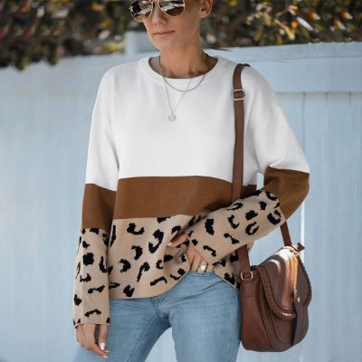 Round Neck Long Sleeve Contrasting Leopard Sweater sold by Back2Basics