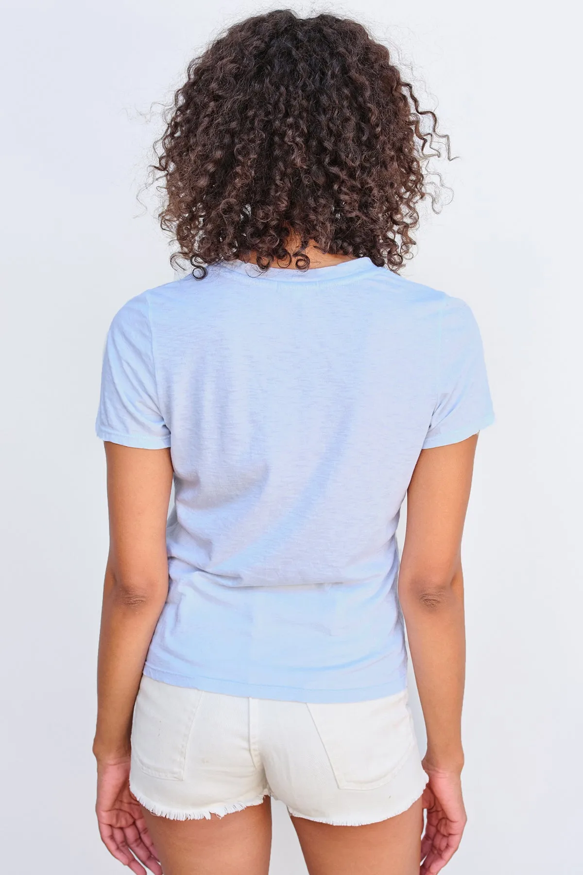Sundry Palm Tree V-Neck in Sky sold by Bailey 44 product image thumbnail 4