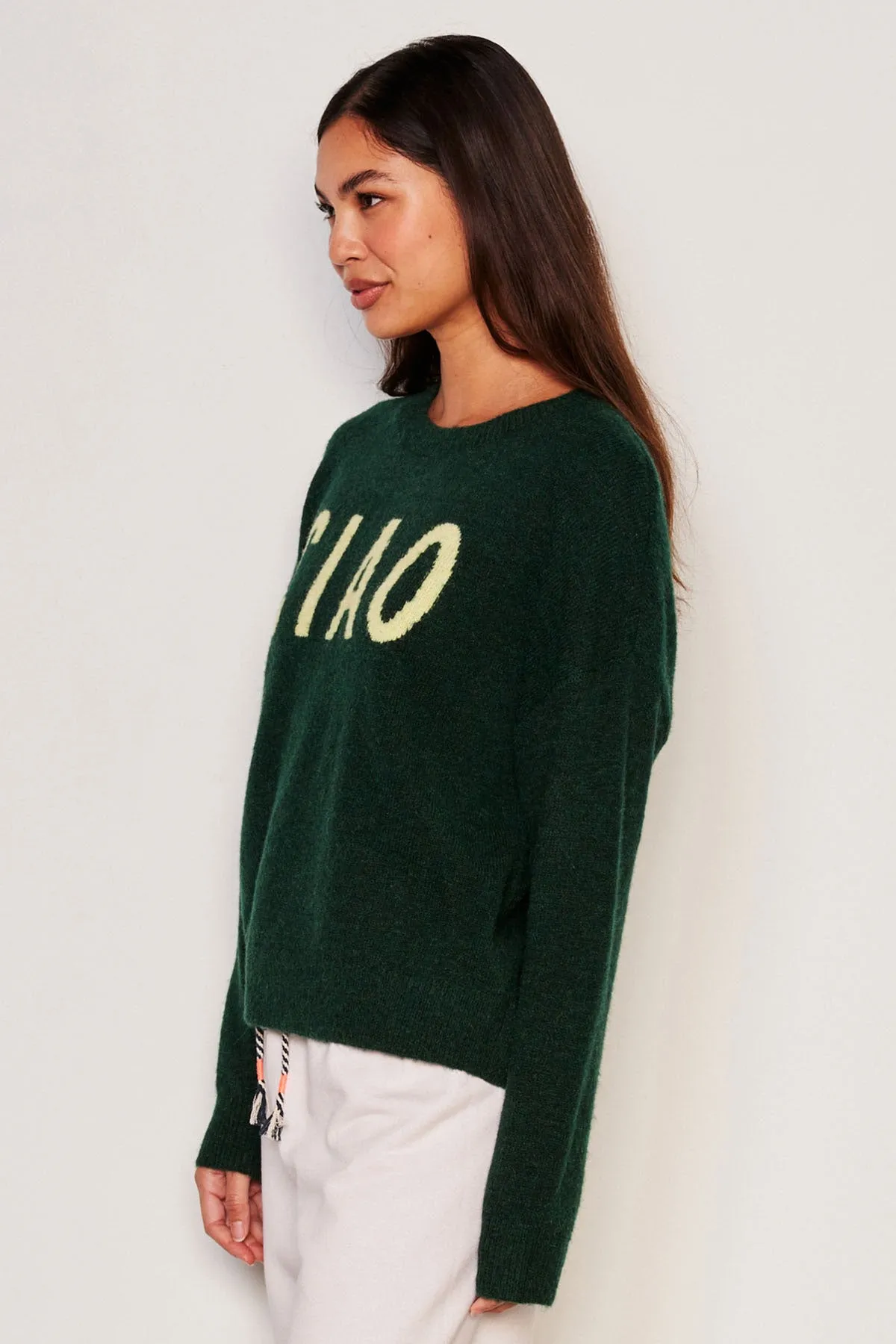 Sundry Ciao Crew Neck Sweater in Everglade sold by Bailey 44 product image thumbnail 4