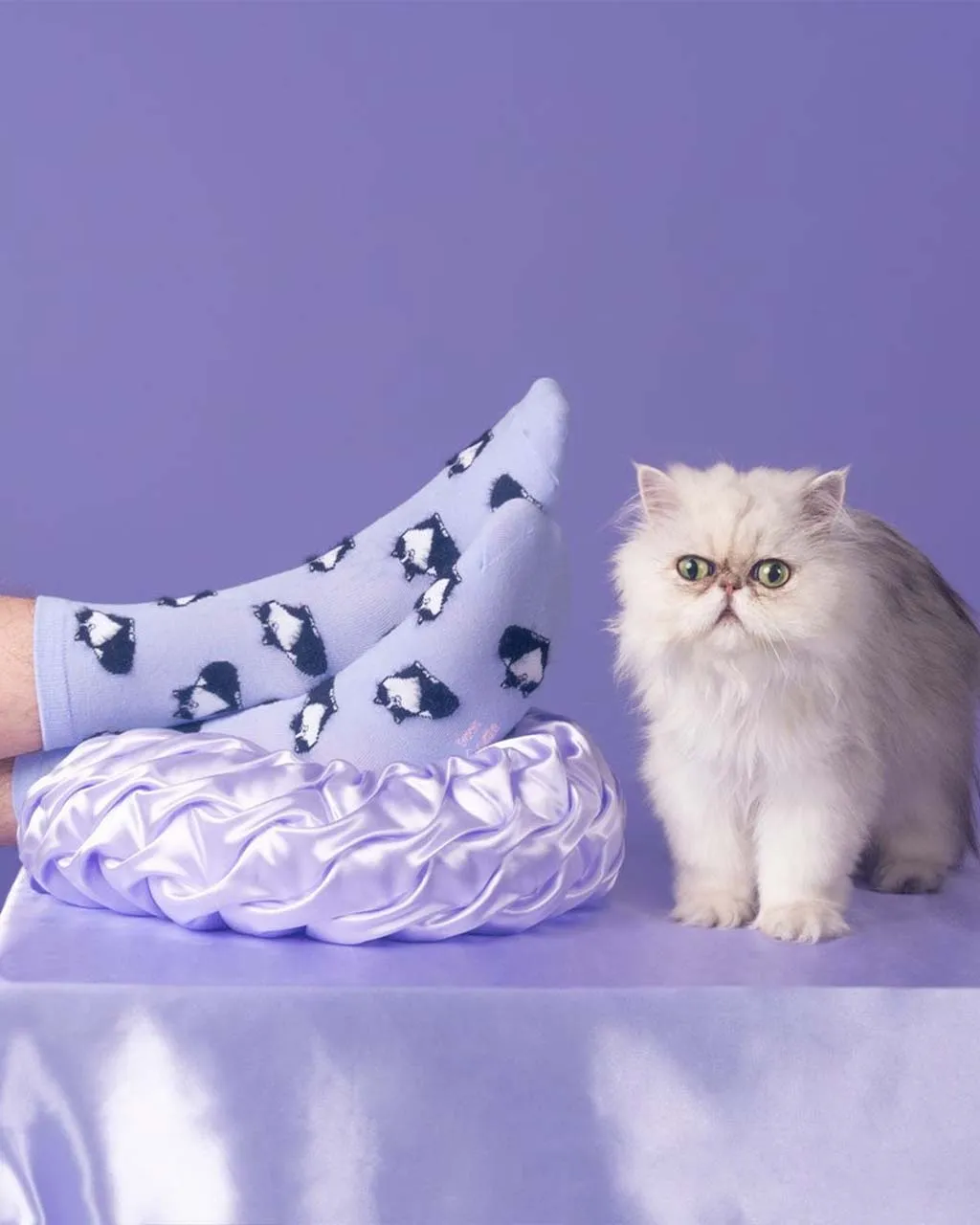 Black And White Cat Socks sold by ban.do product image thumbnail 2