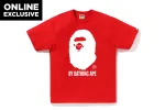 BICOLOR BY BATHING APE TEE sold by Bape