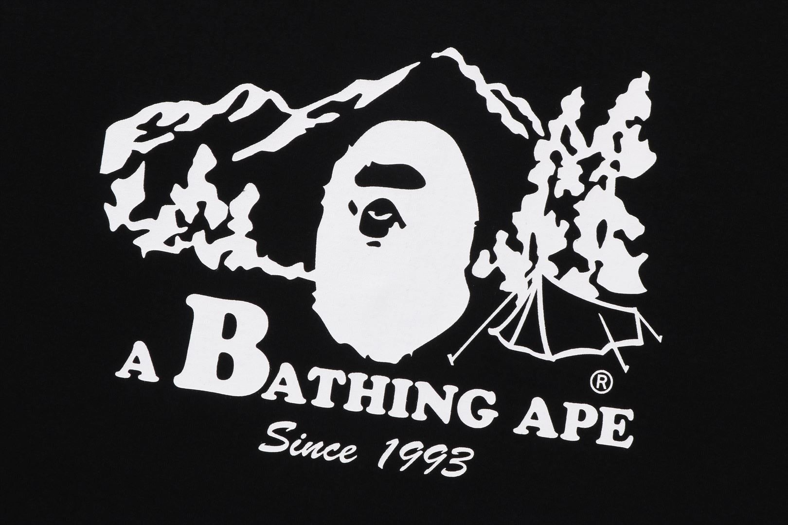 BAPE CAMP L/S TEE sold by Bape product image thumbnail 4