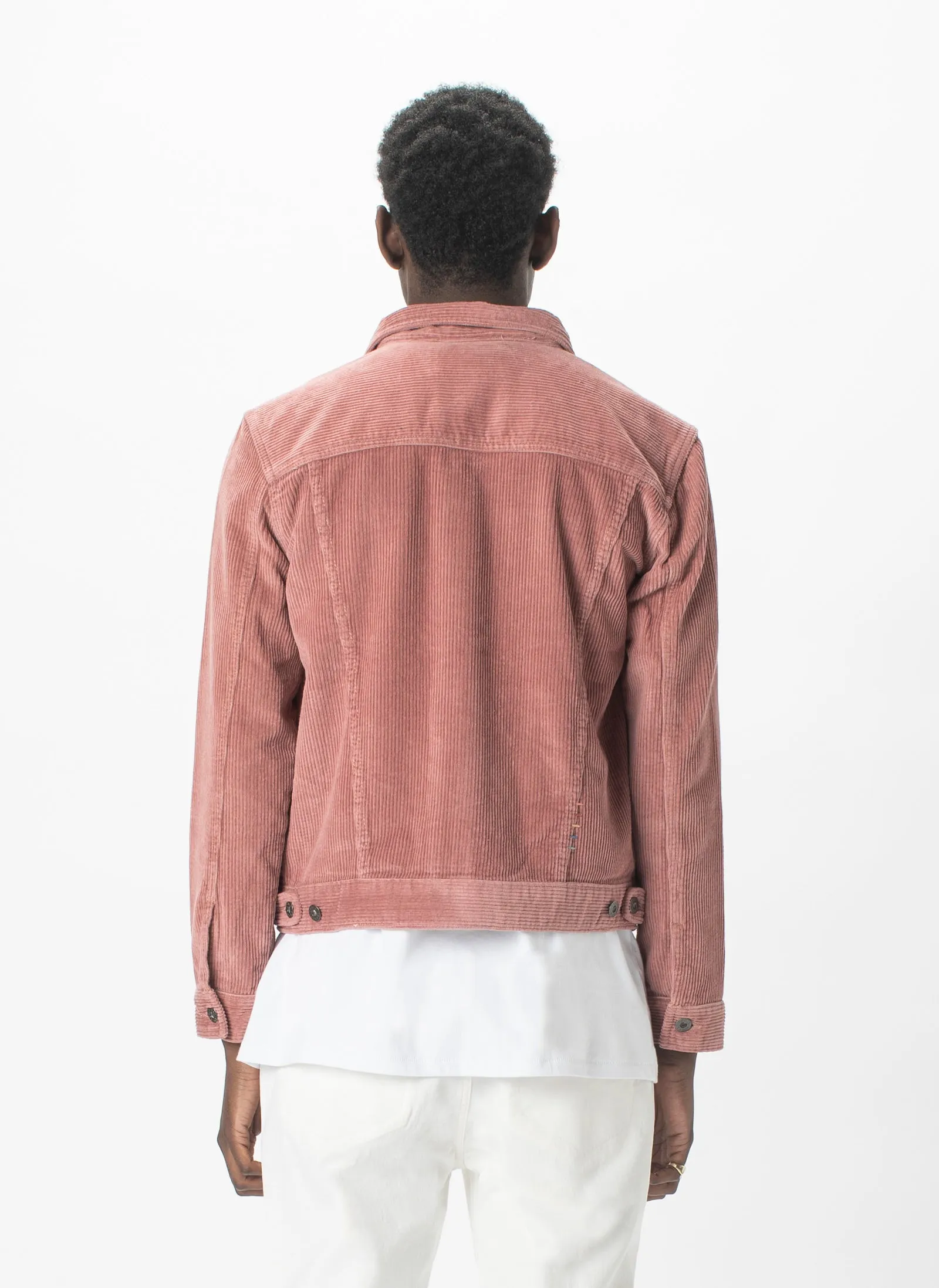 B.Rigid Jacket Rose Cord sold by Barney Cools product image thumbnail 5