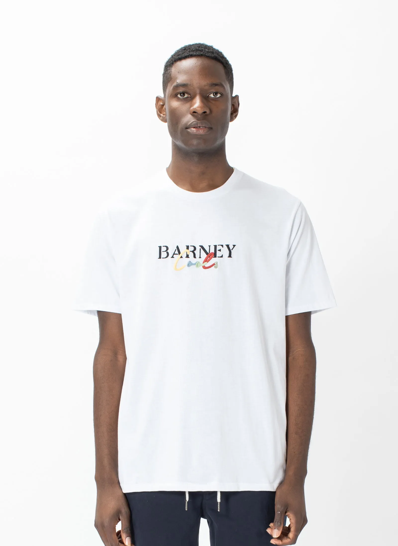 Colour Script Tee White sold by Barney Cools