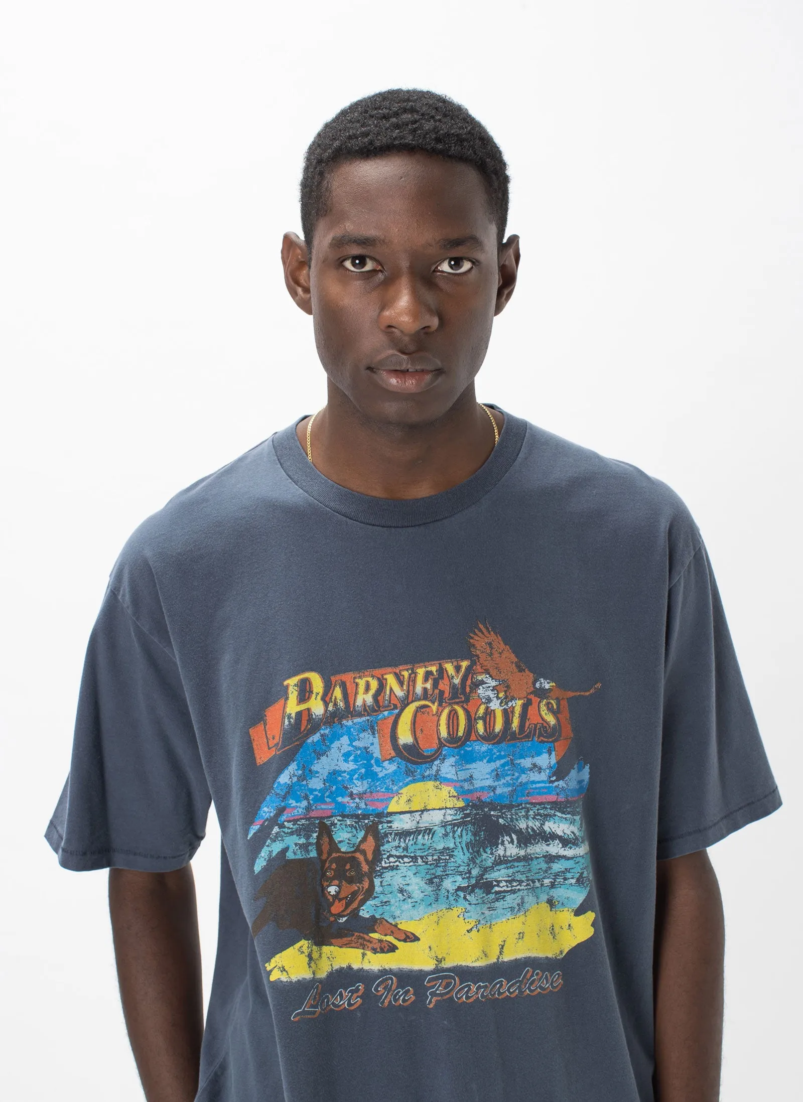 Lost Paradise Tee Vintage Navy sold by Barney Cools product image thumbnail 5