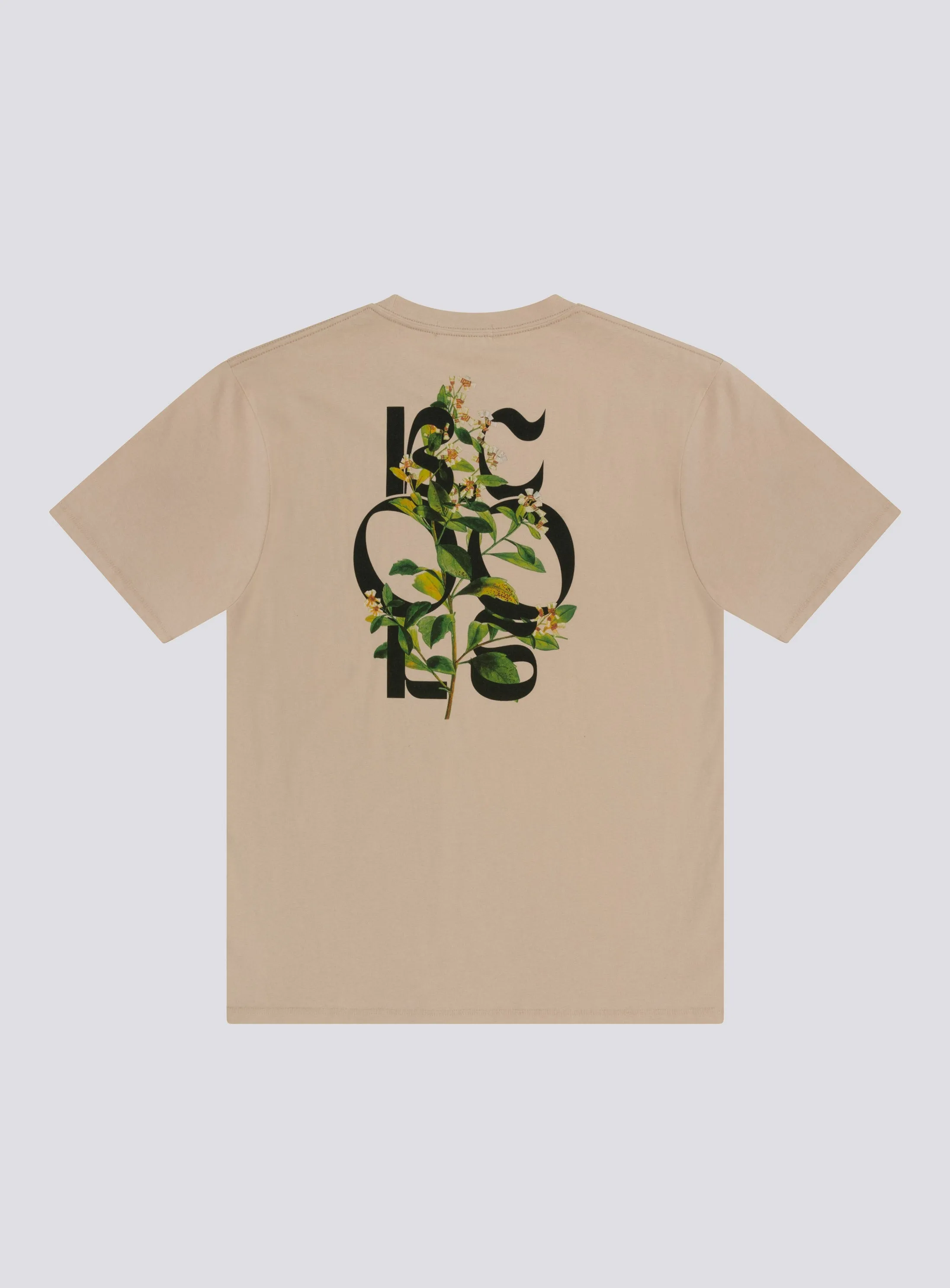 Botanic Homie Tee Sandstone sold by Barney Cools product image thumbnail 2