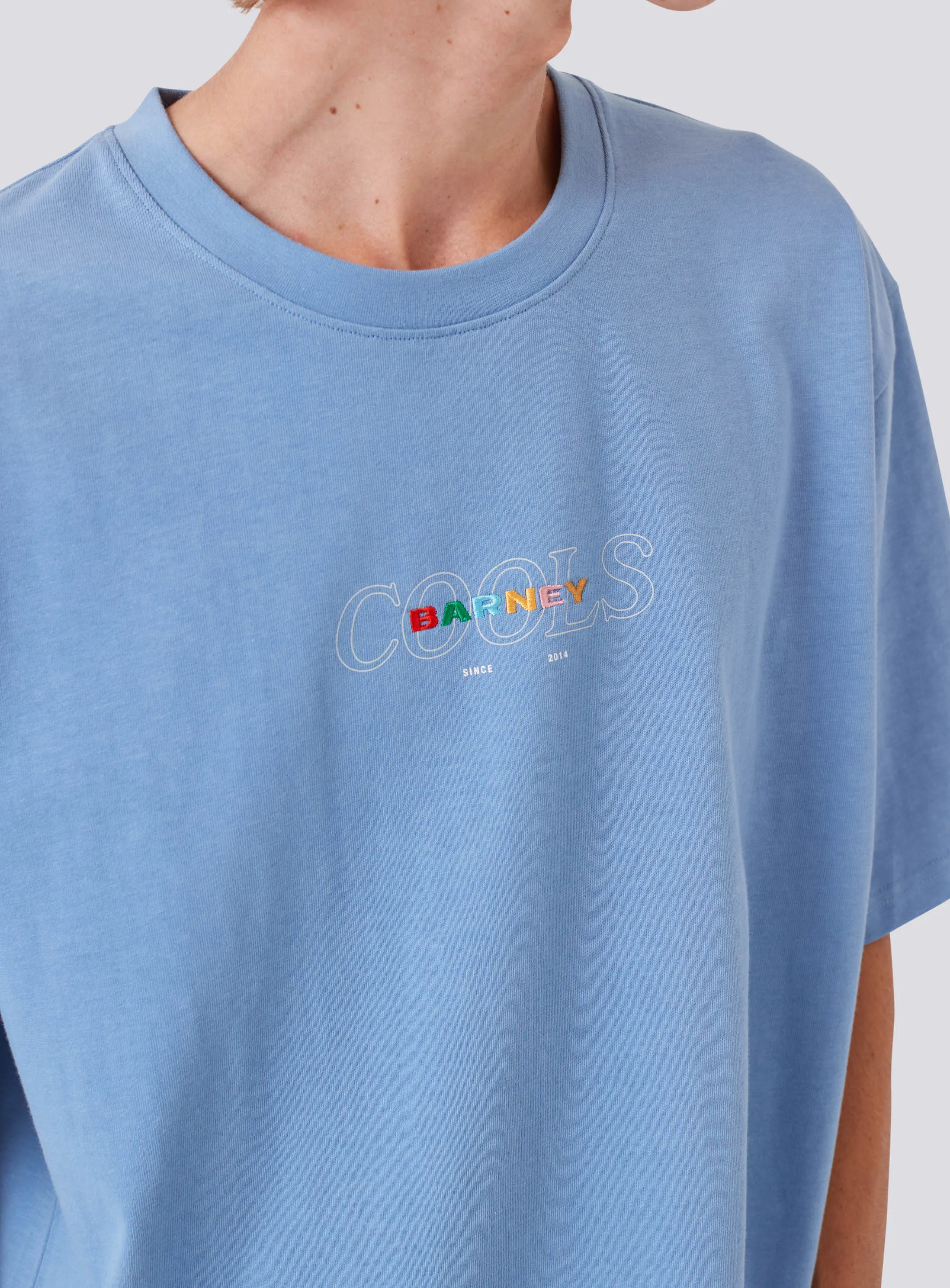 BRNY Tee Washed Blue sold by Barney Cools product image thumbnail 3