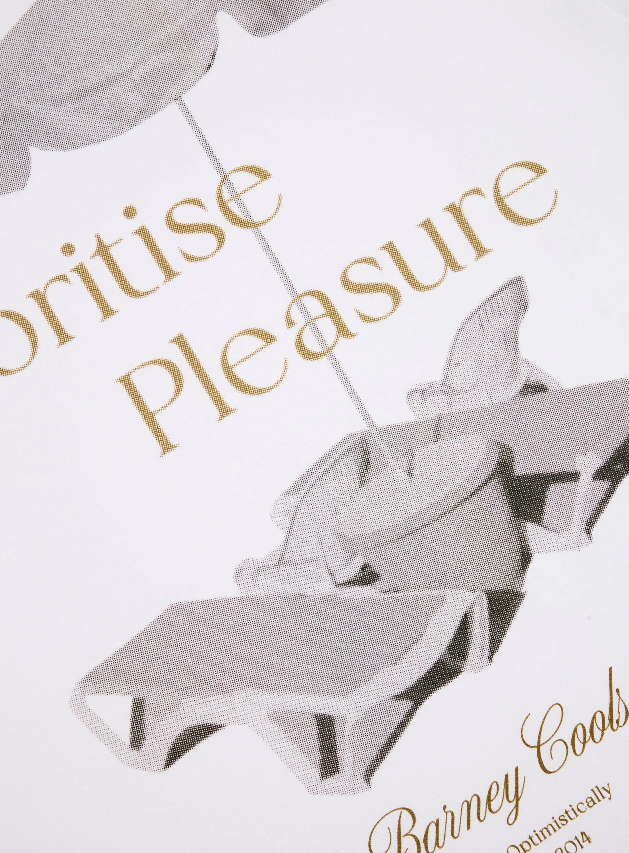 Lesson Tee White sold by Barney Cools product image thumbnail 5