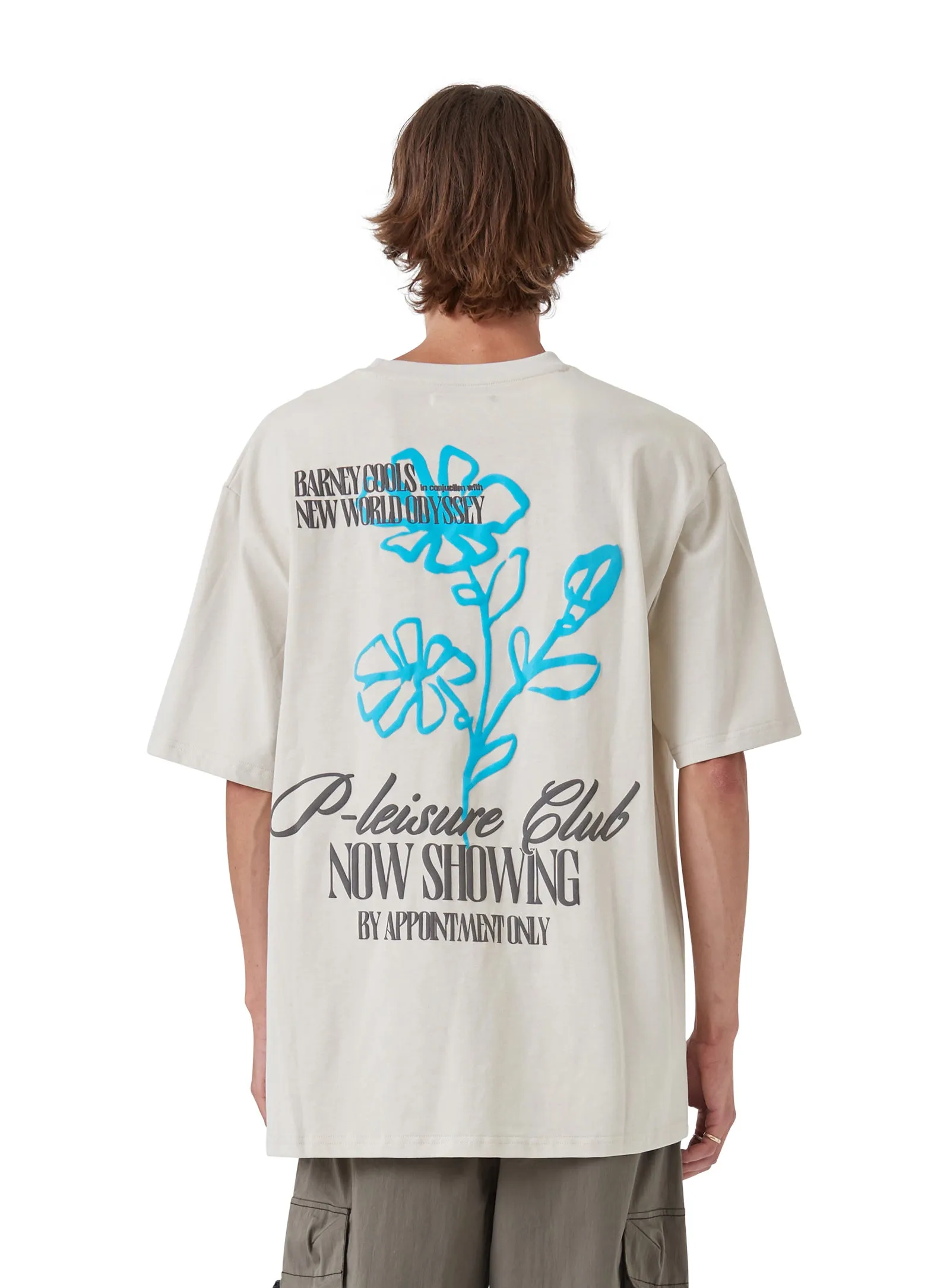 NS Tee Oat sold by Barney Cools product image thumbnail 4