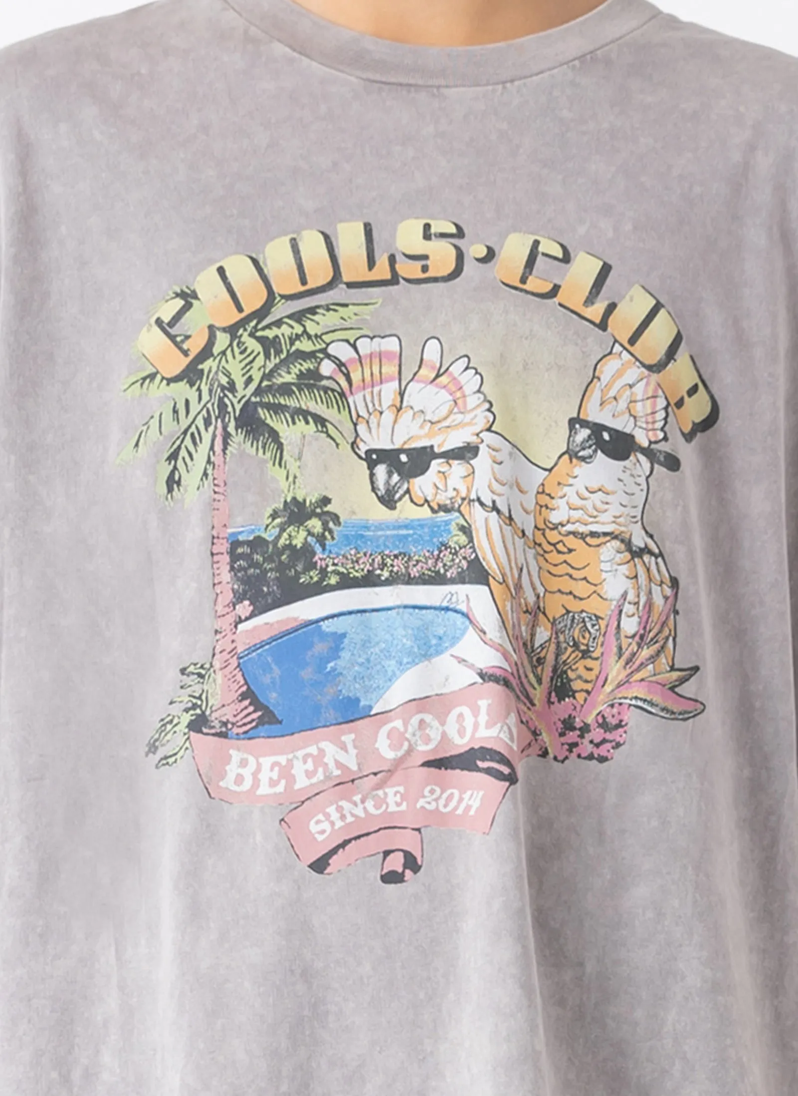 Island Homie Tee Smoke sold by Barney Cools product image thumbnail 2