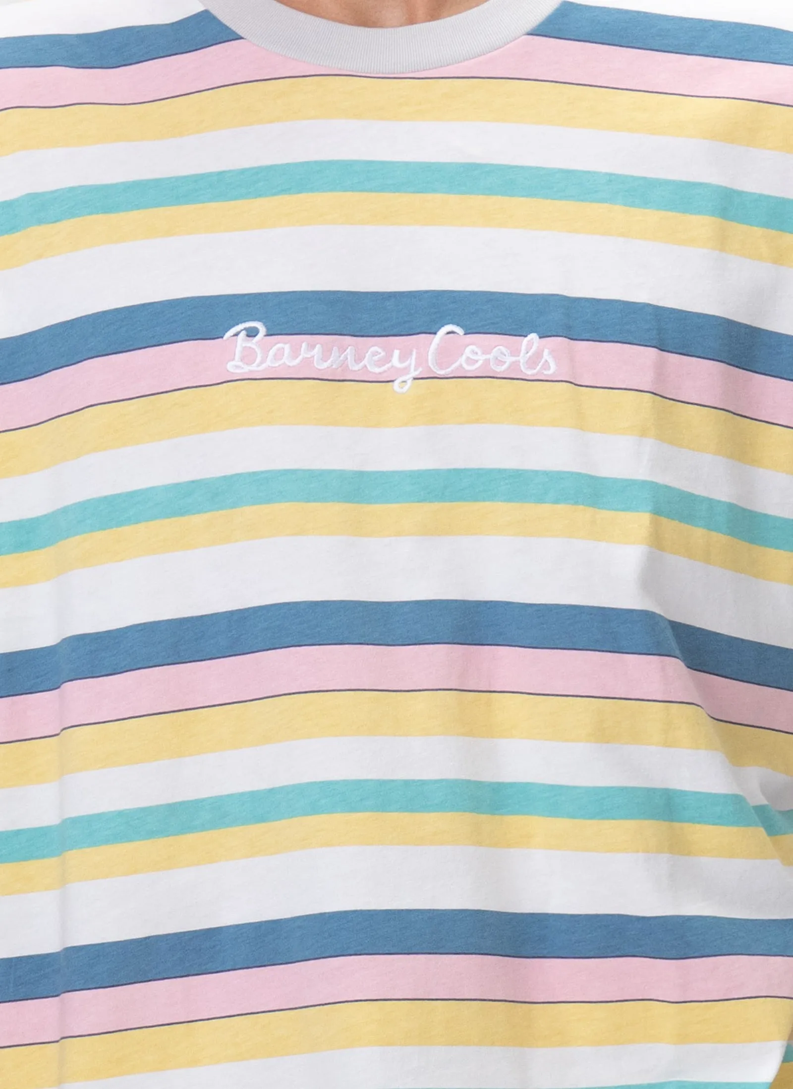 Logo Tee Pastel Stripe sold by Barney Cools product image thumbnail 2
