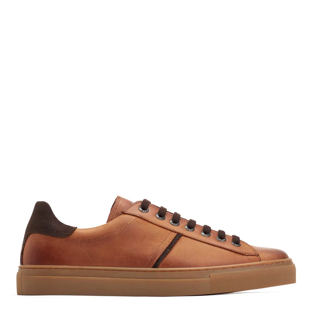 Beck Leather Trainers Tan sold by Base London