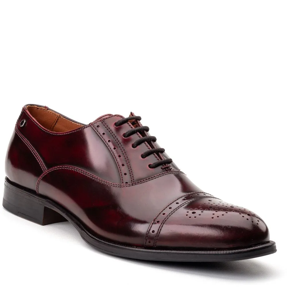 Franklin Hi Shine Brogue Shoes Bordo sold by Base London product image thumbnail 2