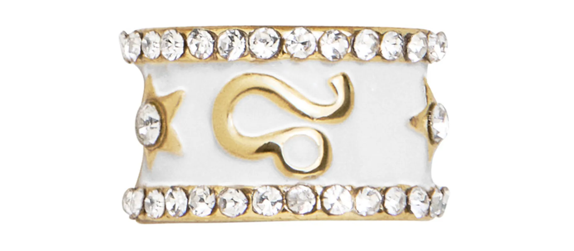 Zodiac 360 Spinner Charm - Leo sold by BaubleBar