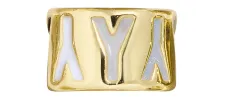 Neutral Initial 360 Spinner Charm - Y sold by BaubleBar
