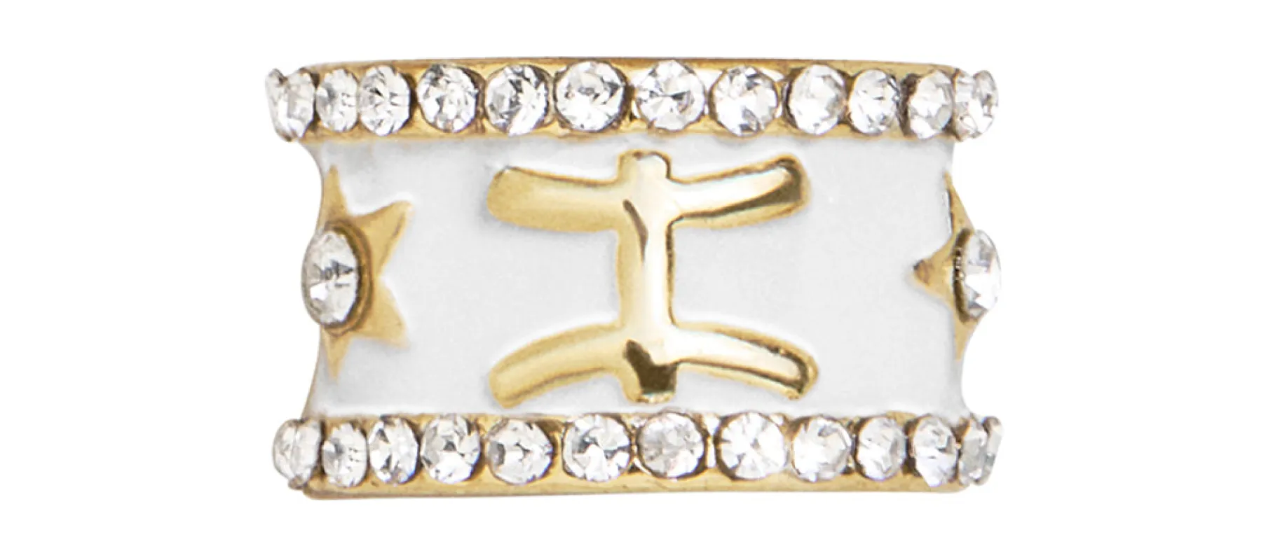 Zodiac 360 Spinner Charm - Pisces sold by BaubleBar