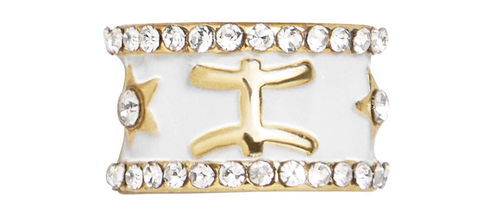 Zodiac 360 Spinner Charm - Pisces sold by BaubleBar