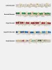 Custom Tennis Bracelet - Gold/Blue sold by BaubleBar