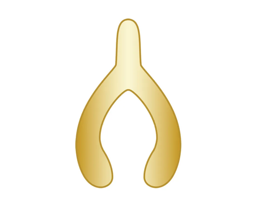 Wishbone Icon - Gold sold by BaubleBar