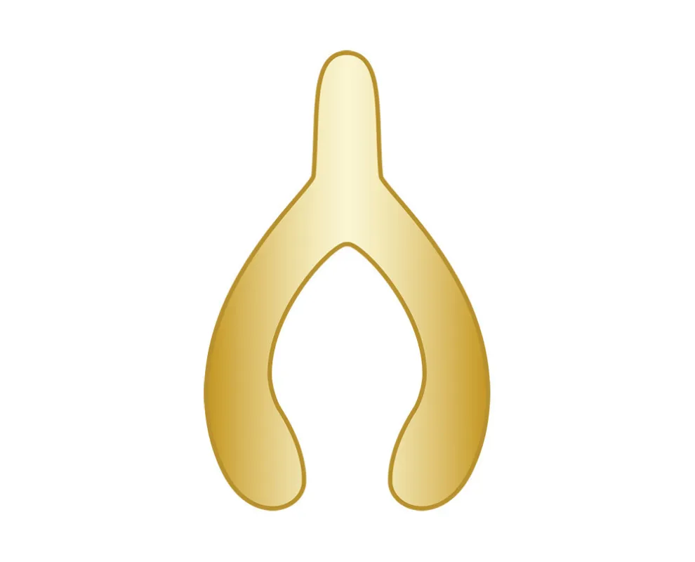 Mini Wishbone Icon - Gold sold by BaubleBar