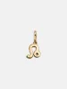Zodiac Symbol Cluster Charm - Leo sold by BaubleBar